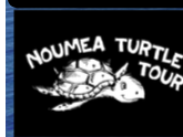 Noumea Turtle Tour